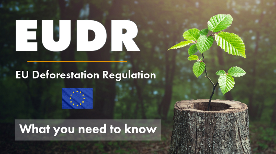 Avrupa Komisyonu Tarafından AB Ormansızlaşma Tüzüğünün Zamanında Uygulanmasını Sağlamaya Yönelik Hedefli Önlemler Teklif Edilmesi