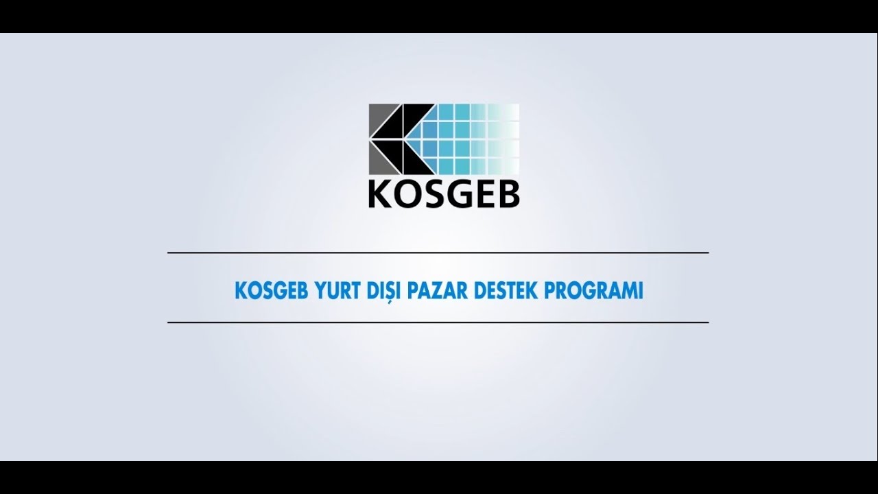 Yurt Dışı Hızlandırıcı Destek Programı